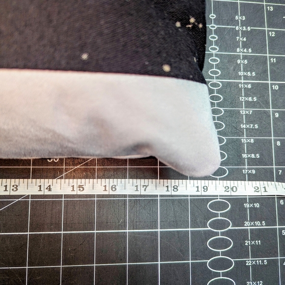 Eagle 🦅 Pillow Set - Picture 10 of 17